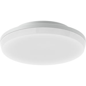 surface-mounted light fixture