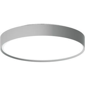surface-mounted light fixture