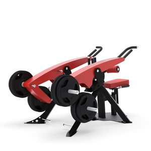 seated dips weight training machine