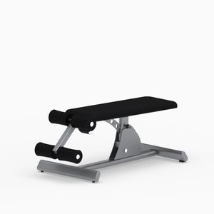 abdominal fitness apparatus