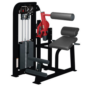 back extension weight training machine