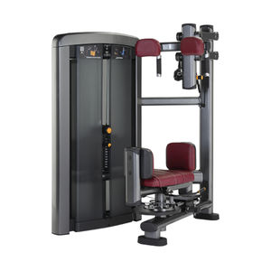 rotary torso weight training machine