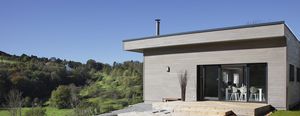 strip cladding 1