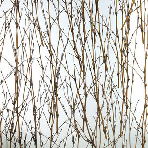 wall decorative panel