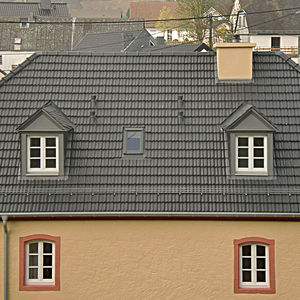 french roof tile