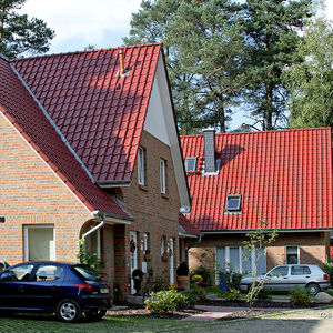 french roof tile