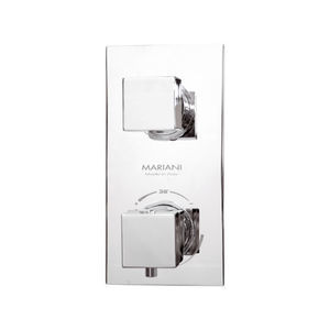 shower mixer tap