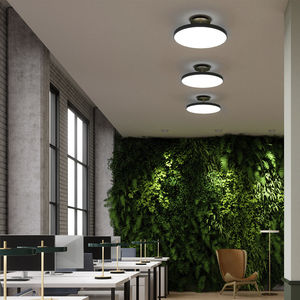 contemporary ceiling light