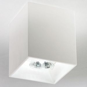 surface mounted downlight
