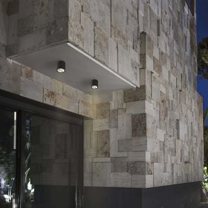 contemporary ceiling light