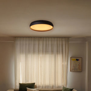 contemporary ceiling light