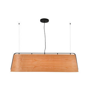 contemporary ceiling light 1