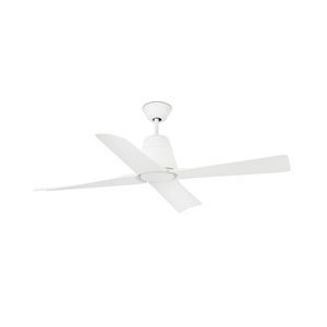 ceiling mount fan 1