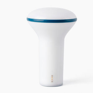 portable lamp