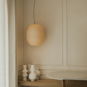 contemporary ceiling light
