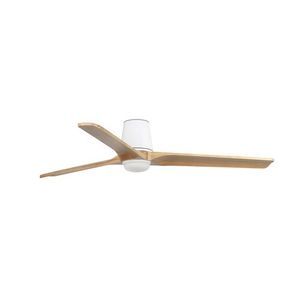 ceiling mount ceiling fan 1