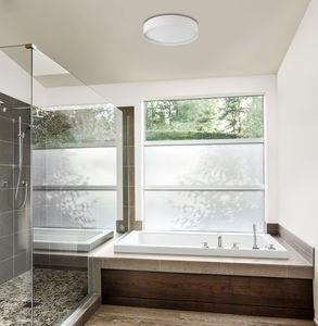 contemporary ceiling light
