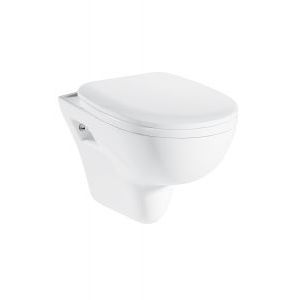 wall-hung toilet 1