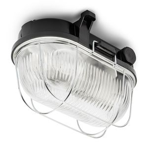 traditional ceiling light