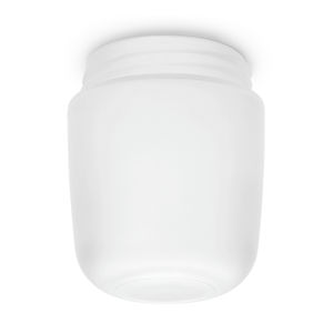 frosted glass ceiling light