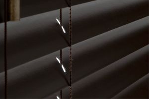 Venetian blinds