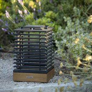 teak lantern