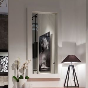 wall-mounted mirror