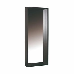 wall-mounted mirror