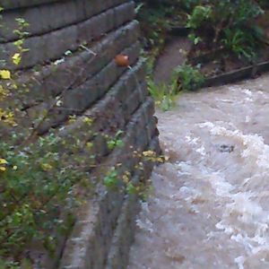 modular gabion