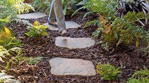 stepping stone