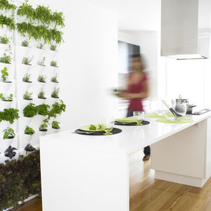 vertical garden with live plants