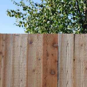 fence with bars