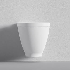 wall-hung toilet