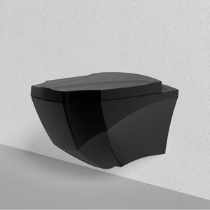 wall-hung toilet
