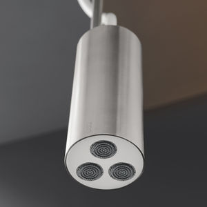 ceiling-mounted shower head