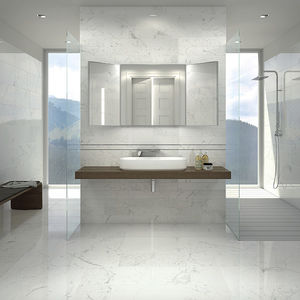 ceramic tile 1
