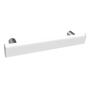 stainless steel grab bar