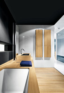 walk-in shower / glass / rectangular