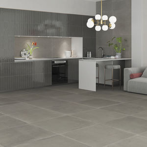 indoor tile / wall / floor / porcelain stoneware