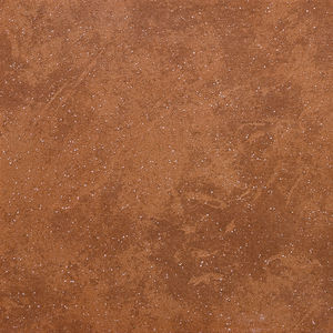 ceramic tile 1