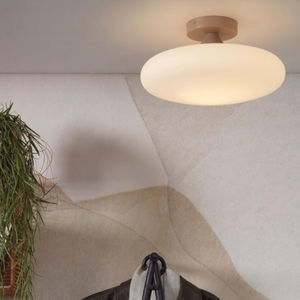 contemporary ceiling light