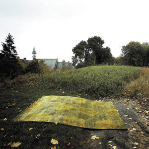 contemporary rug 1