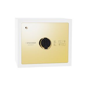 electronic safe 1