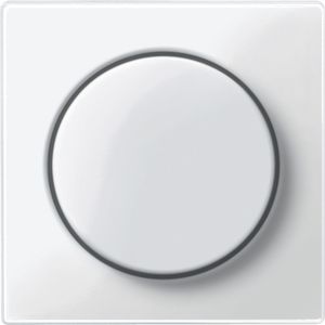 wall-mounted dimmer 1