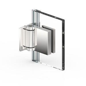 glass door hinge 1