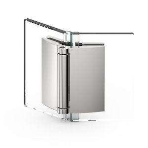 glass door hinge 1