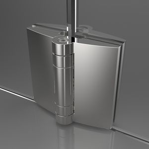 glass door hinge 1