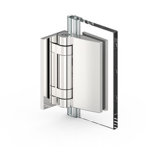 glass door hinge 1