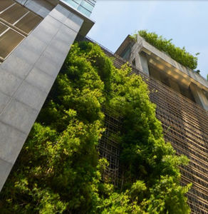 green facade with live plants