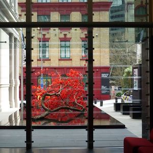 aluminum window